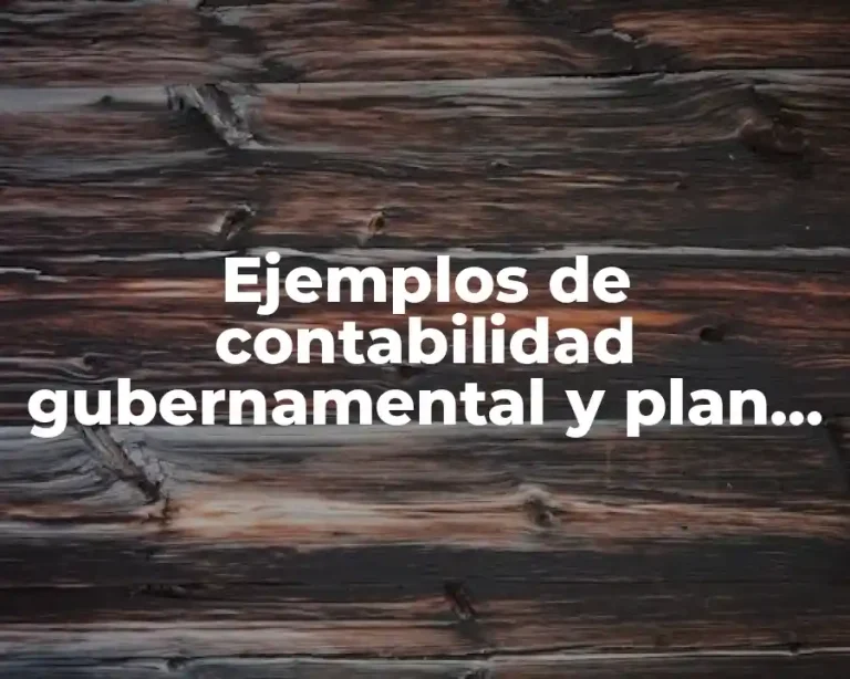Ejemplos de contabilidad gubernamental y plan de cuentas