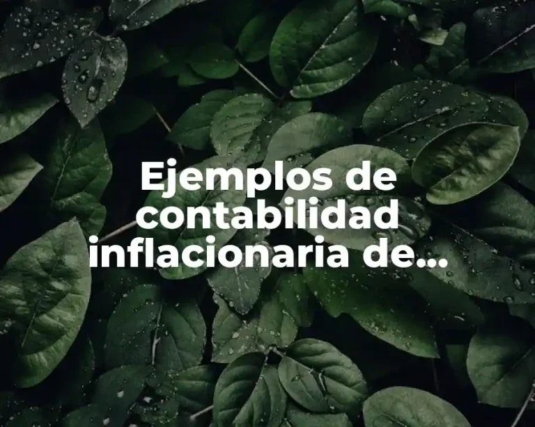 Ejemplos de contabilidad inflacionaria de propiedades planta y equipo