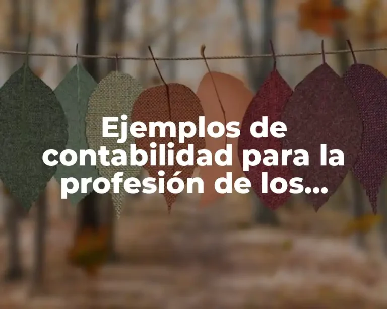Ejemplos de contabilidad para la profesión de los médicos