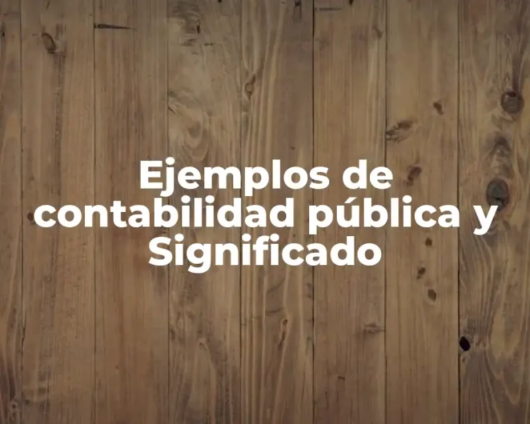 Ejemplos de contabilidad pública y Significado
