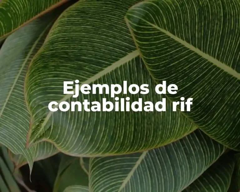 Ejemplos de contabilidad rif