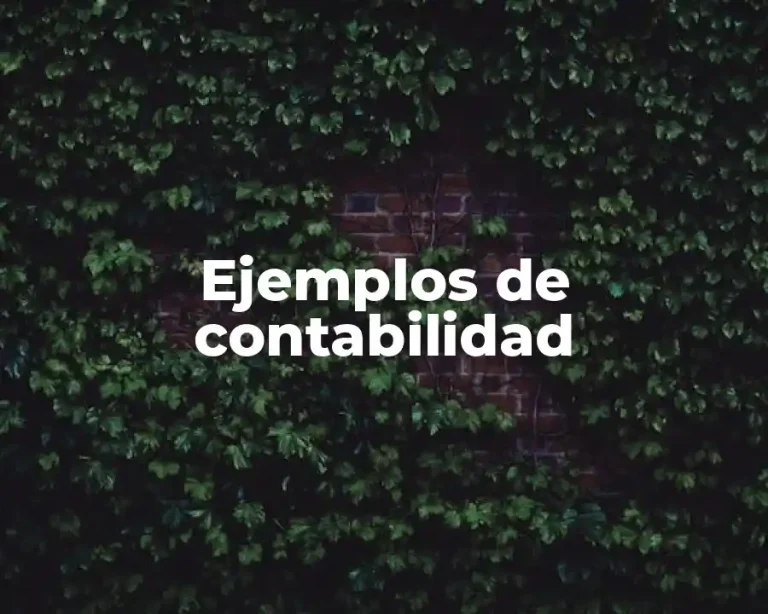 Ejemplos de contabilidad