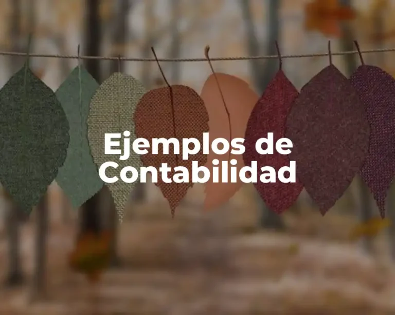 Ejemplos de Contabilidad