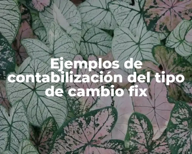 Ejemplos de contabilización del tipo de cambio fix