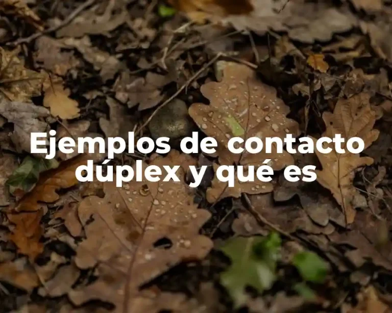Ejemplos de contacto dúplex y qué es