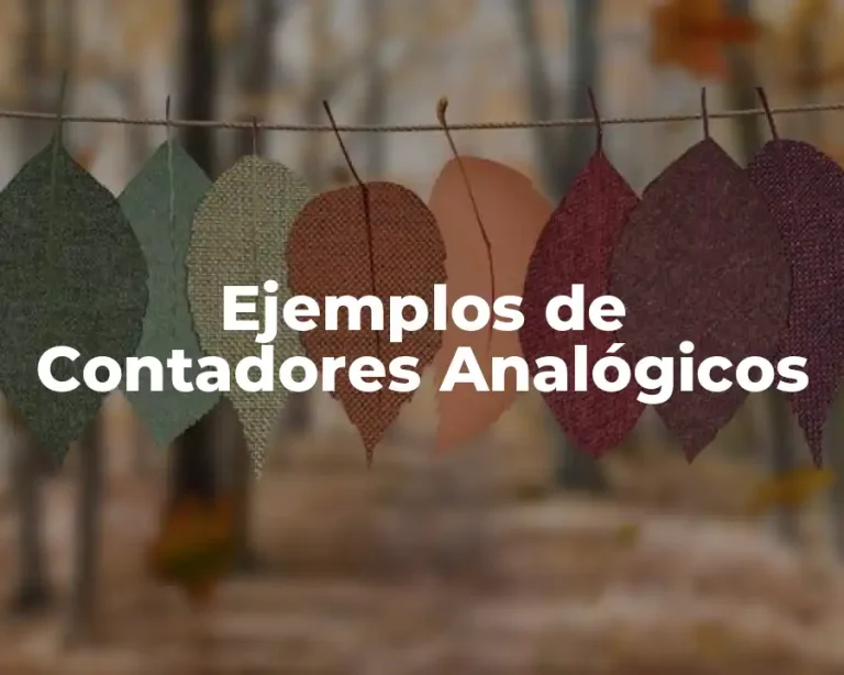 Ejemplos de Contadores Analógicos