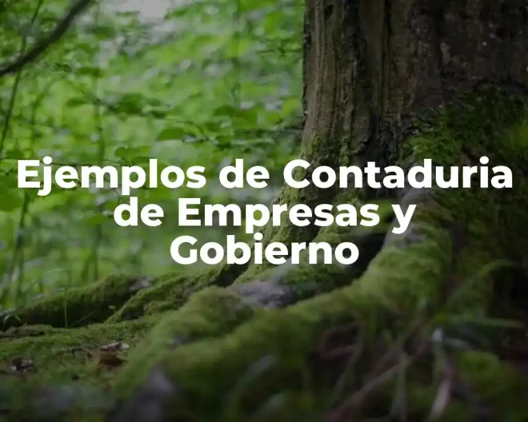 Ejemplos de Contaduria de Empresas y Gobierno