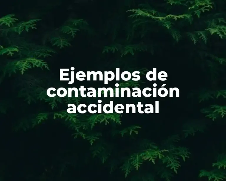Ejemplos de contaminación accidental