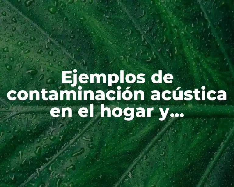 Ejemplos de contaminación acústica en el hogar y Significado