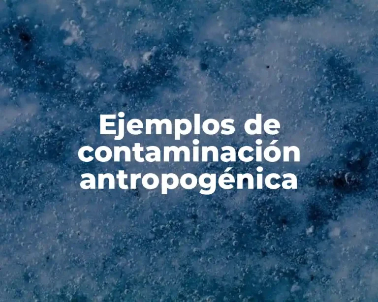 Ejemplos de contaminación antropogénica