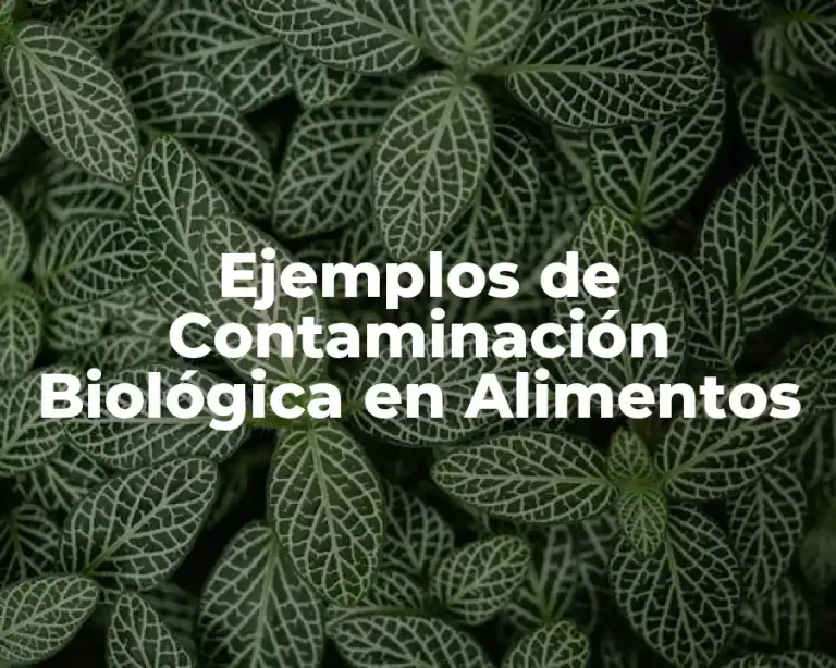 Ejemplos de Contaminación Biológica en Alimentos