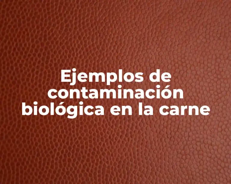 Ejemplos de contaminación biológica en la carne