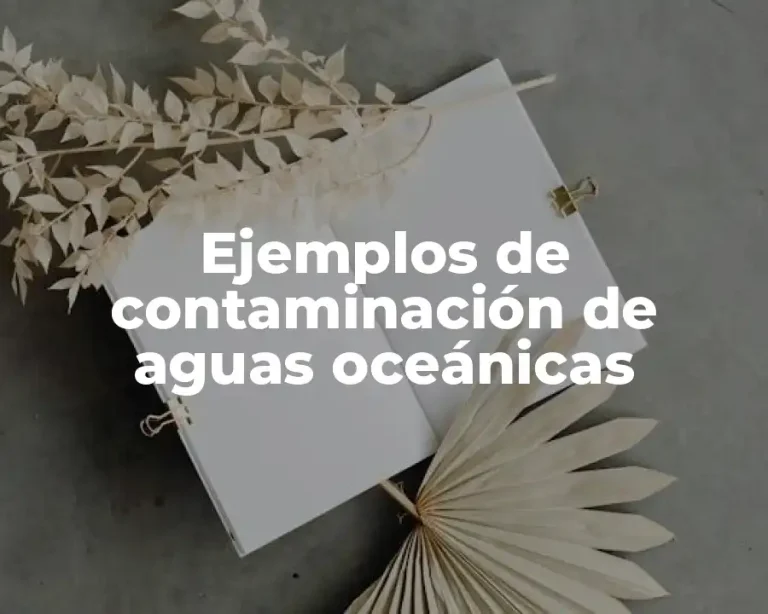 Ejemplos de contaminación de aguas oceánicas