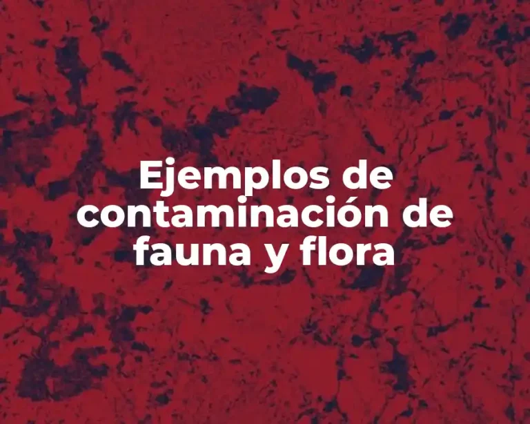 Ejemplos de contaminación de fauna y flora