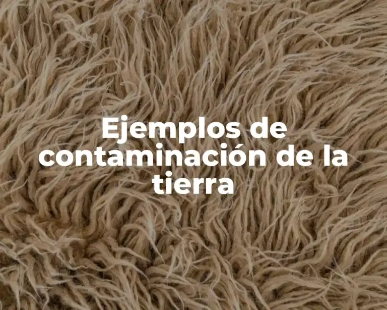 Ejemplos de contaminación de la tierra