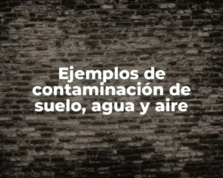 Ejemplos de contaminación de suelo, agua y aire