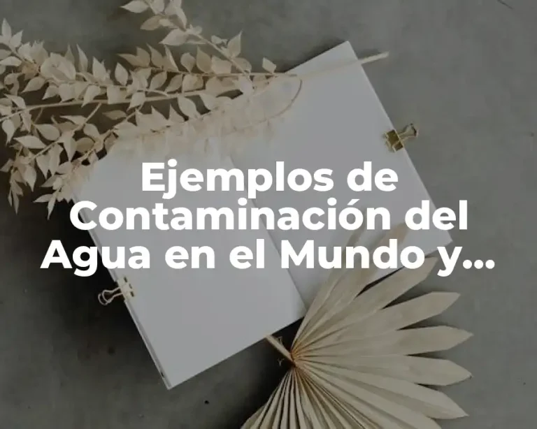 Ejemplos de Contaminación del Agua en el Mundo y Significado