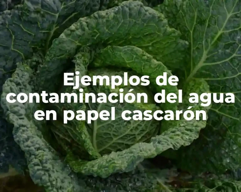 Ejemplos de contaminación del agua en papel cascarón