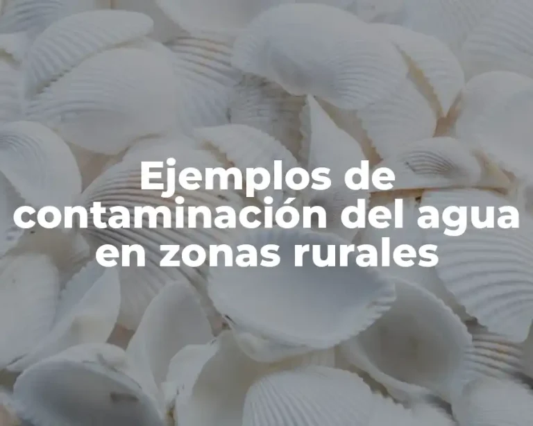 Ejemplos de contaminación del agua en zonas rurales