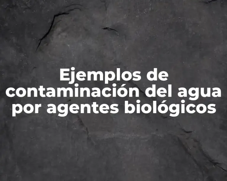 Ejemplos de contaminación del agua por agentes biológicos