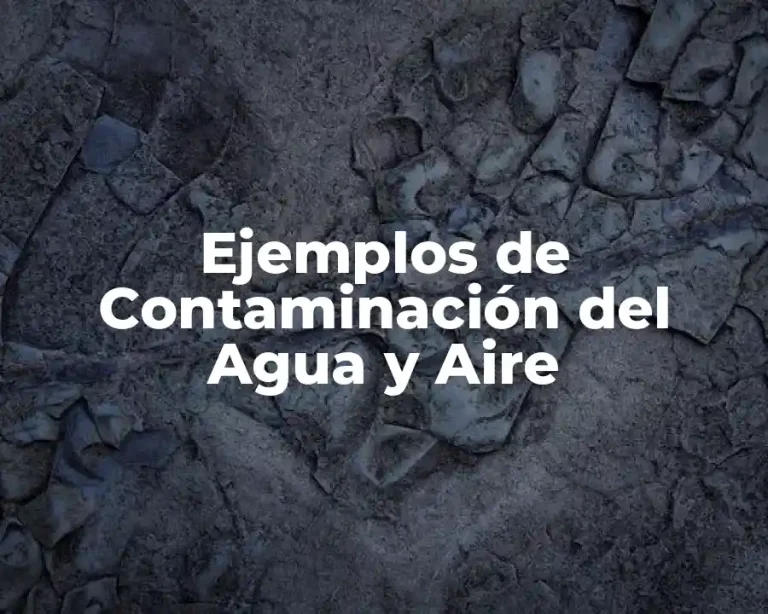 Ejemplos de Contaminación del Agua y Aire