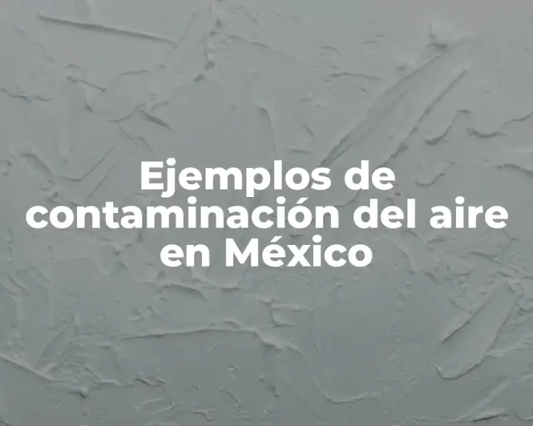 Ejemplos de contaminación del aire en México