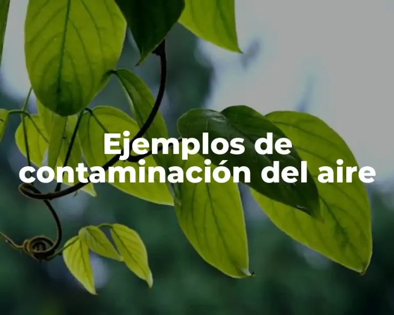 Ejemplos de contaminación del aire