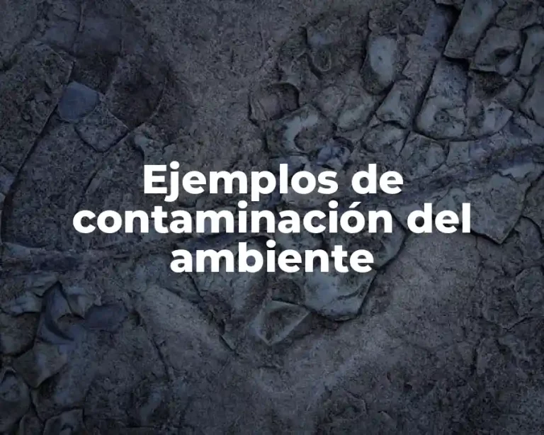 Ejemplos de contaminación del ambiente
