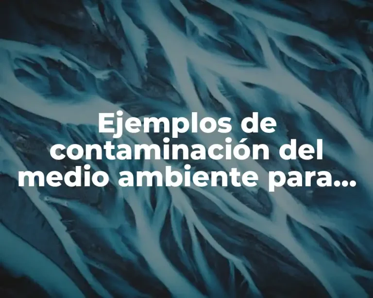 Ejemplos de contaminación del medio ambiente para niños