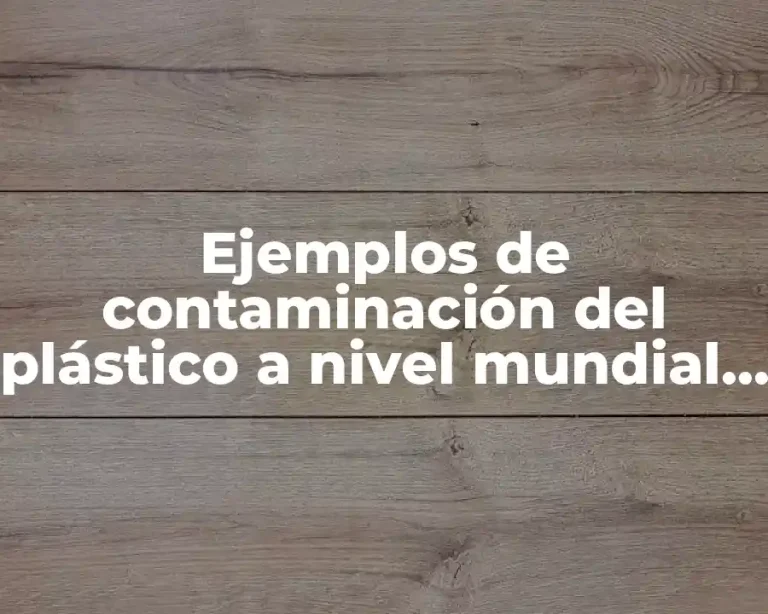 Ejemplos de contaminación del plástico a nivel mundial y Significado