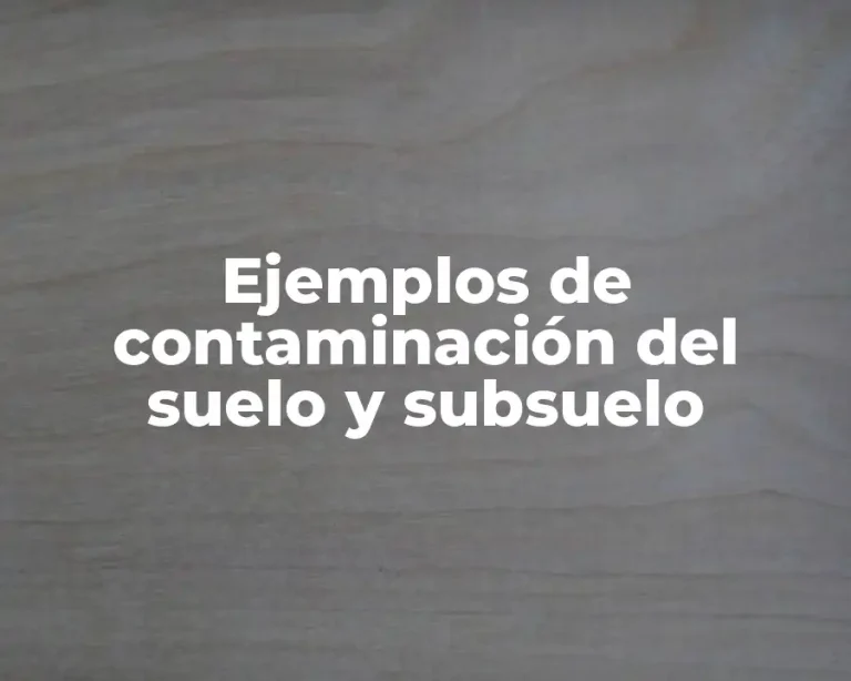 Ejemplos de contaminación del suelo y subsuelo