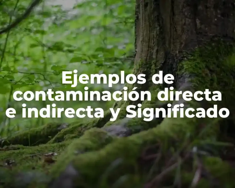 Ejemplos de contaminación directa e indirecta y Significado