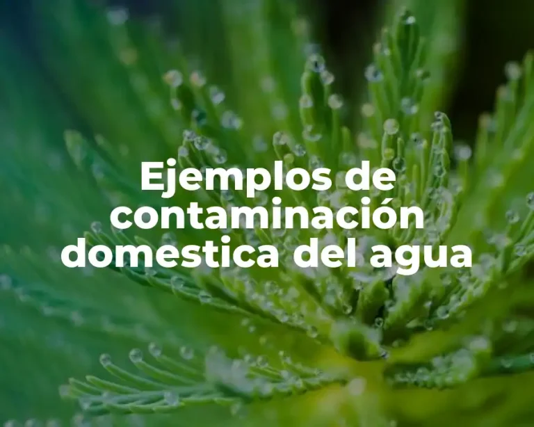 Ejemplos de contaminación domestica del agua