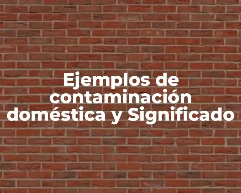Ejemplos de contaminación doméstica y Significado