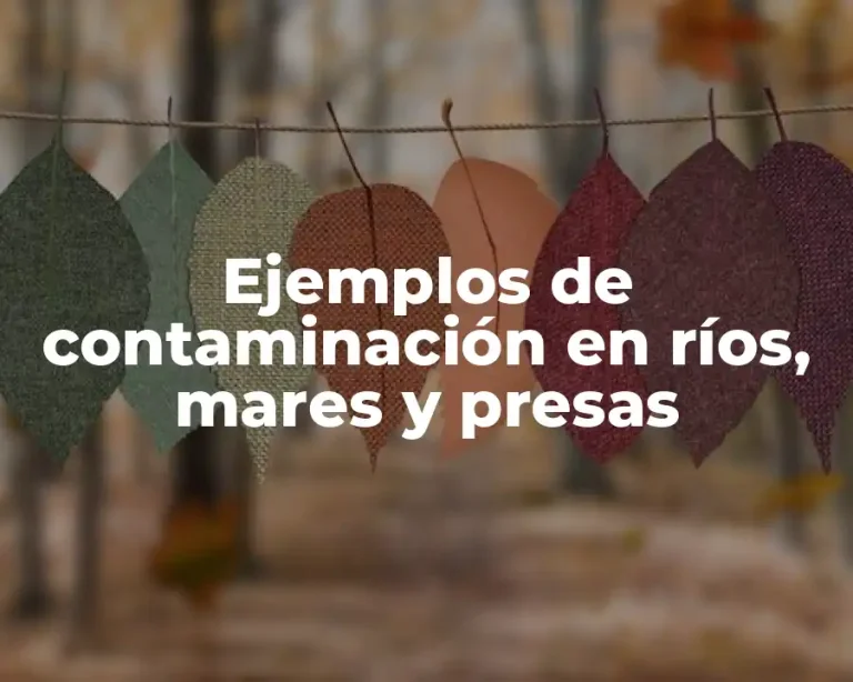 Ejemplos de contaminación en ríos, mares y presas