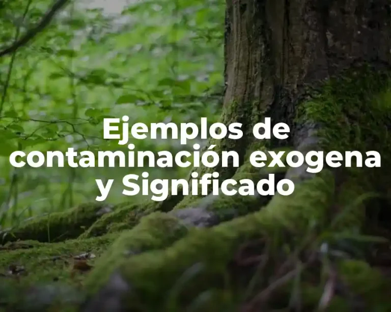 Ejemplos de contaminación exogena y Significado