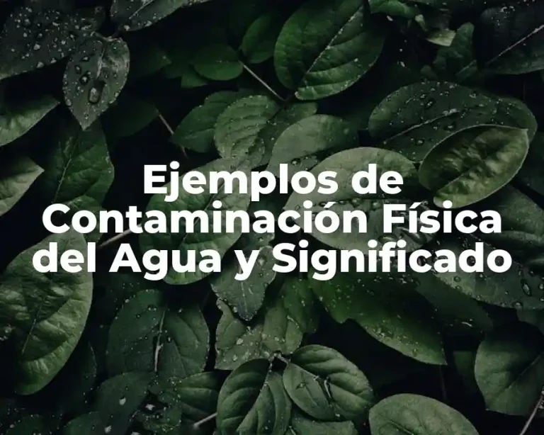 Ejemplos de Contaminación Física del Agua y Significado