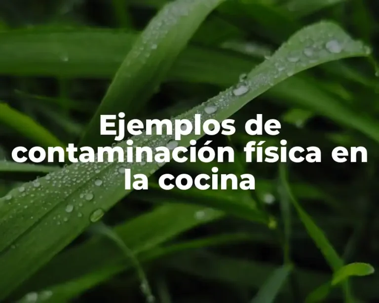 Ejemplos de contaminación física en la cocina