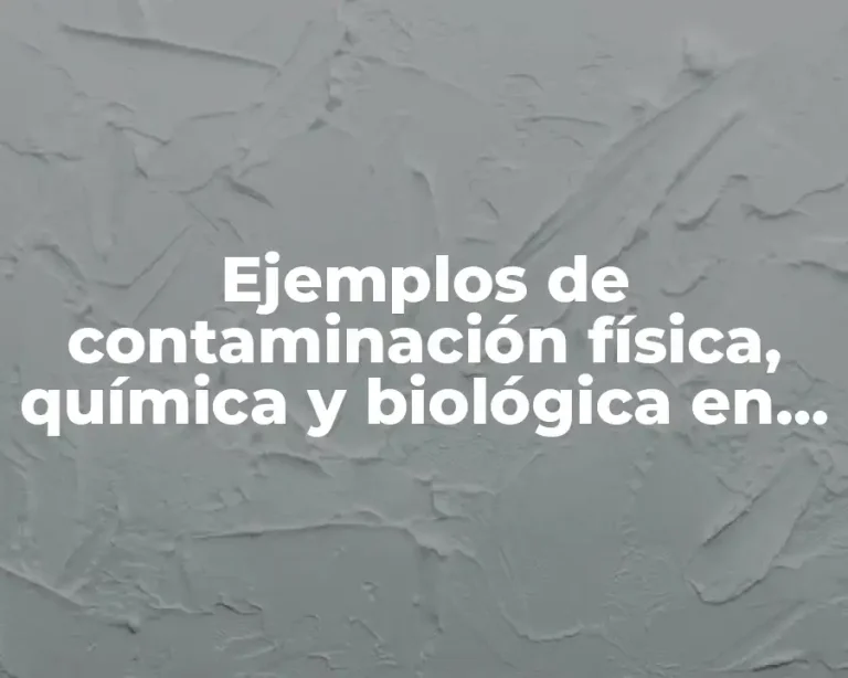 Ejemplos de contaminación física, química y biológica en los alimentos