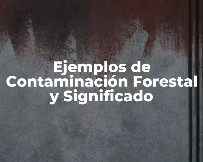Ejemplos de Contaminación Forestal y Significado