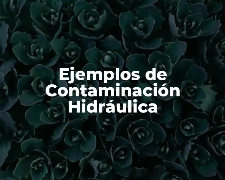 Ejemplos de Contaminación Hidráulica