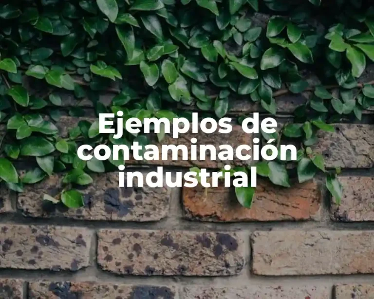 Ejemplos de contaminación industrial