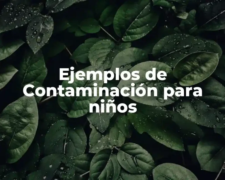 Ejemplos de Contaminación para niños