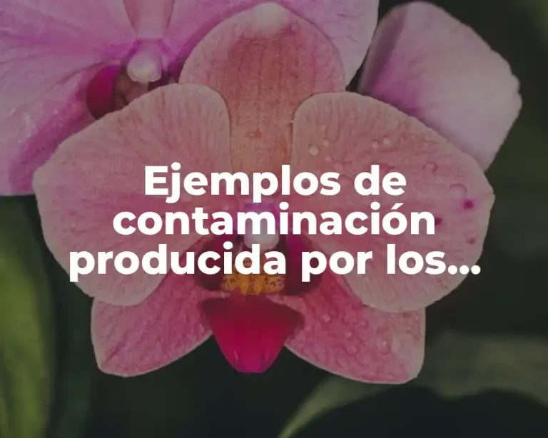 Ejemplos de contaminación producida por los automóviles