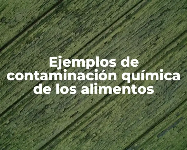 Ejemplos de contaminación química de los alimentos