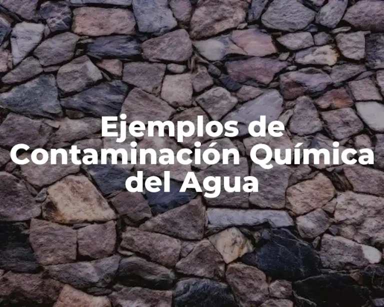 Ejemplos de Contaminación Química del Agua