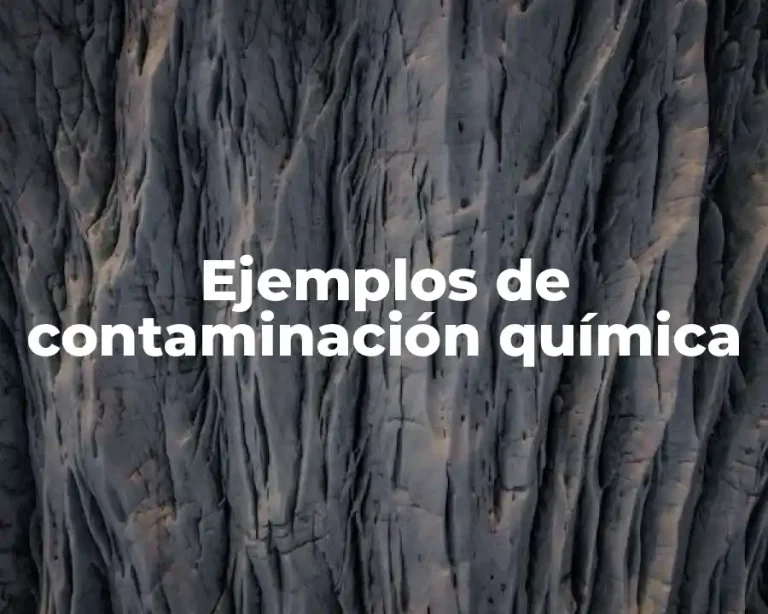 Ejemplos de contaminación química