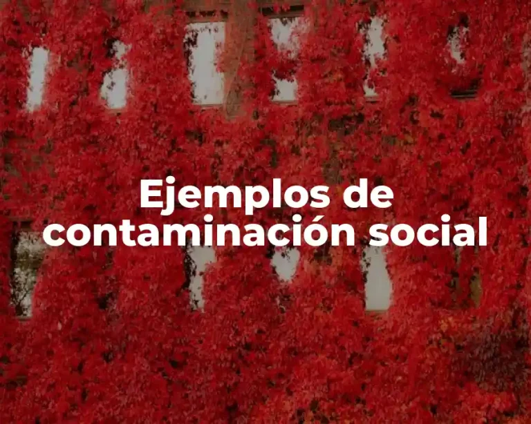Ejemplos de contaminación social