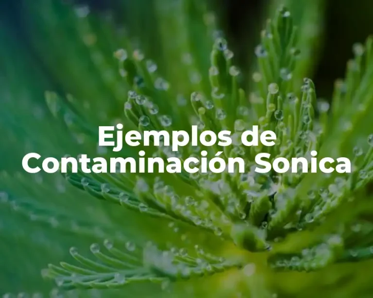 Ejemplos de Contaminación Sonica