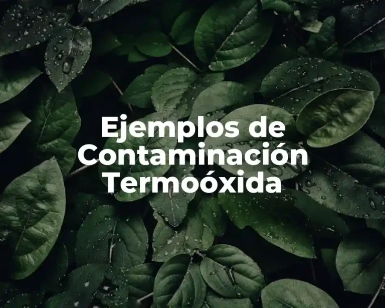 Ejemplos de Contaminación Termoóxida